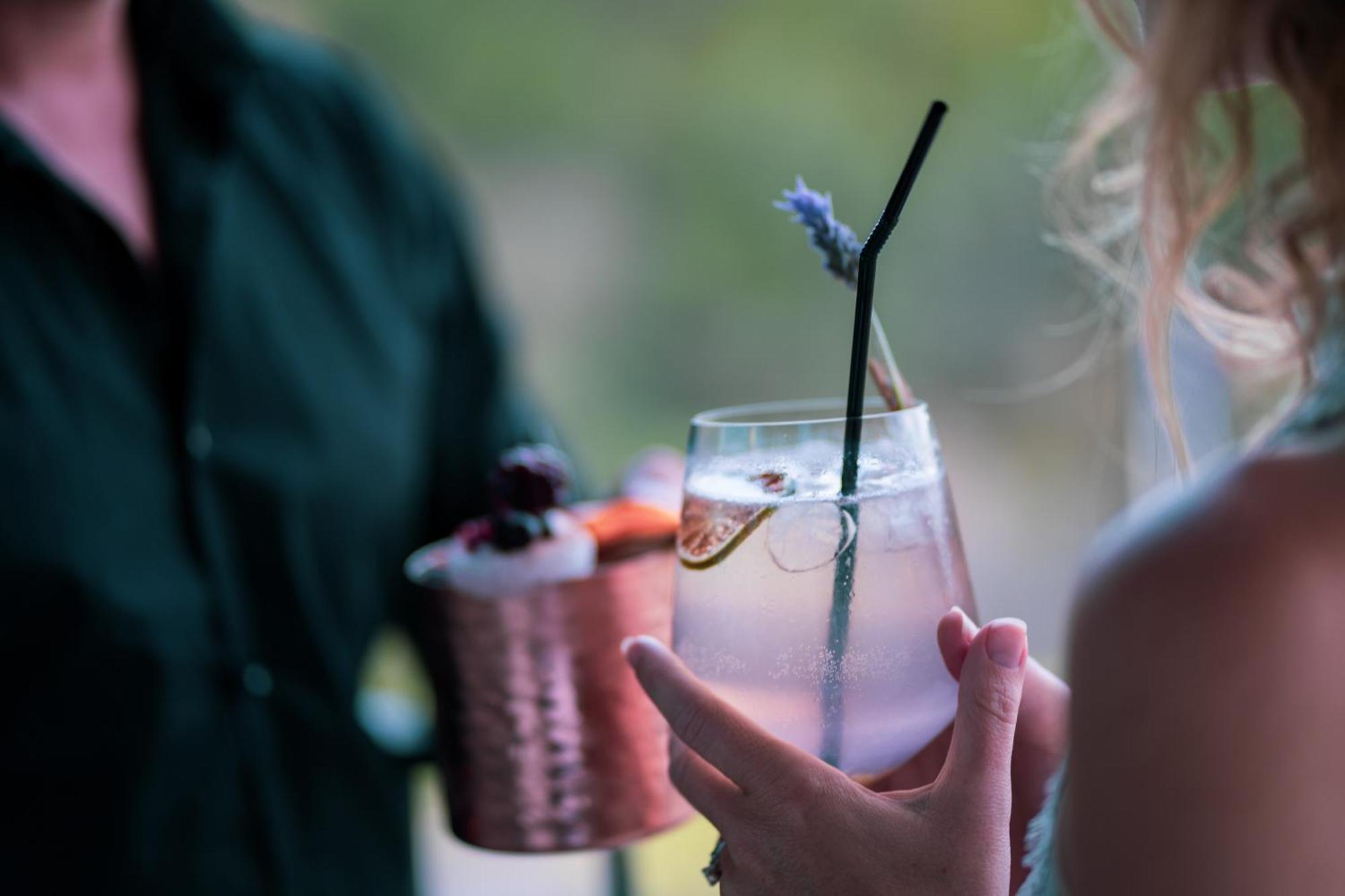 Monchique Resort & Spa Εξωτερικό φωτογραφία A lavender cocktail